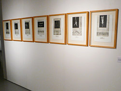 photo de l'exposition Herbier d'artiste à l'Espace Aragon