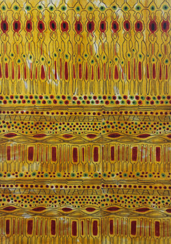 Photo Plein les yeux